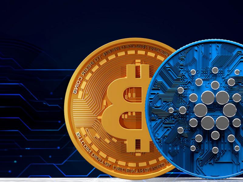 безопасность криптовалют