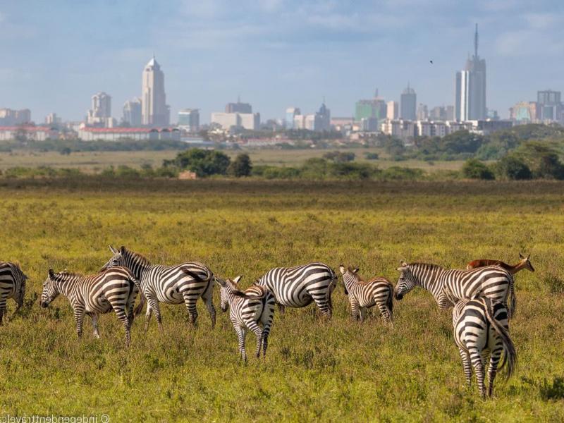 Discover the Spectacular Beauty of Amboseli National Park and Lake Nakuru National Park